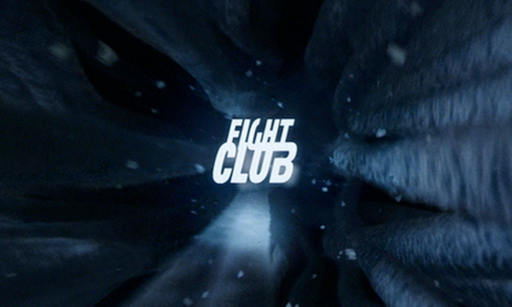 FightClub 1